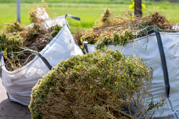 Best Same-Day Junk Removal  in Crimora, VA